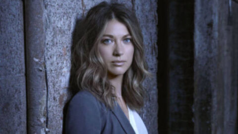 Atriz de The Following participa de Under the Dome