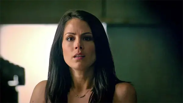 Hawaii Five 0 Perde Michelle Borth 