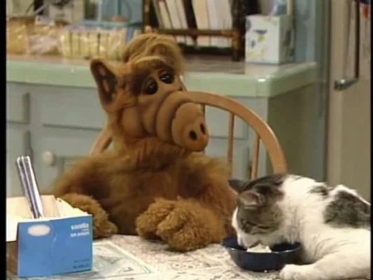 Como surgiu o nome Alf e de que planeta ele veio? 2