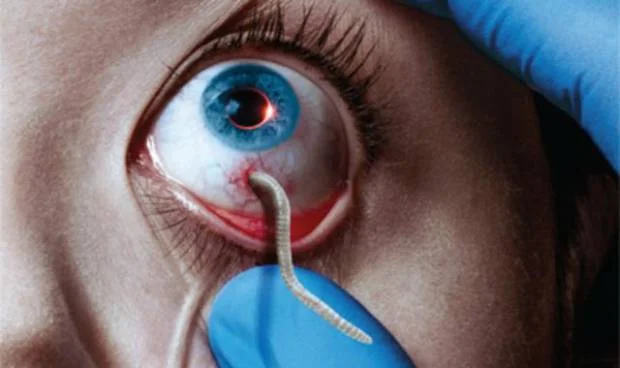 The Strain: confira cena do primeiro episódio