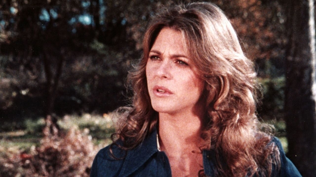 mulher bionica - o homem de seis milhões de dólares