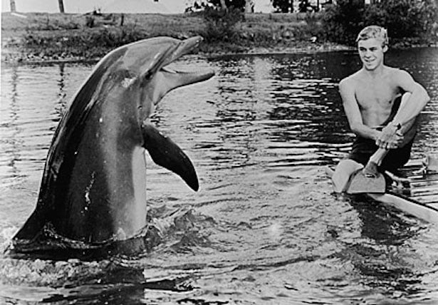 Qual era o nome verdadeiro do golfinho Flipper?