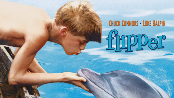 flipper série