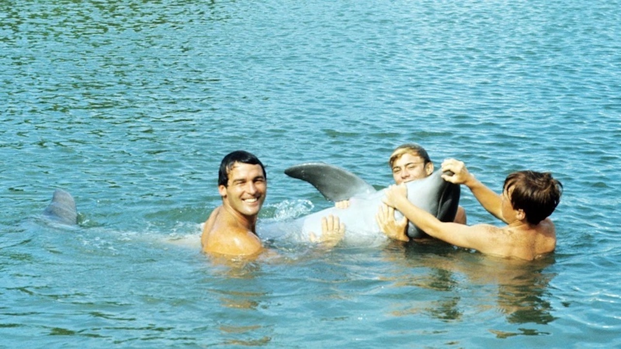 Qual era o nome verdadeiro do golfinho Flipper?