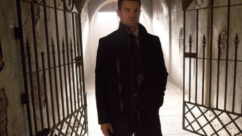 The Originals: protagonistas declaram guerra