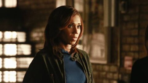 Castle: Hayley é acusada de crime