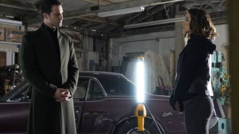 shield planos da hive