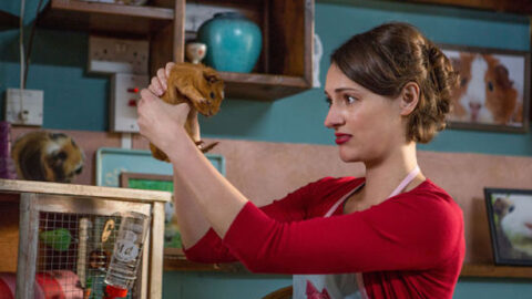 Fleabag 1 temporada