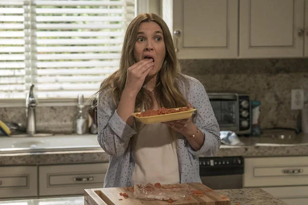 santa clarita diet netflix