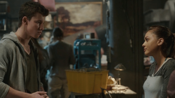 Shawn Mendes the 100