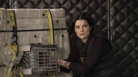 blindspot Blindspot 2ª temporada: Jane prende membro da Sandstorm (2x21)
