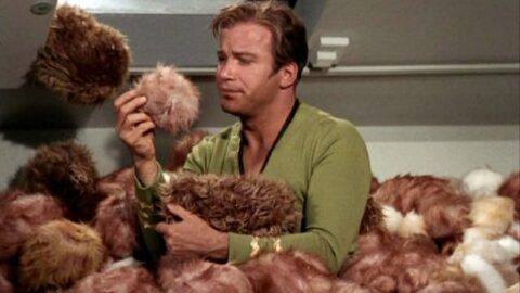 star trek tribbles