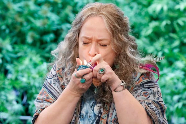 disjointed 1 temporada