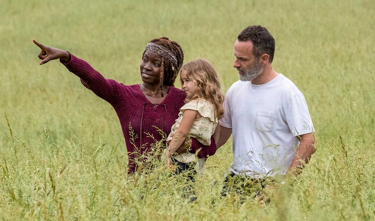 the walking dead rick e michonne