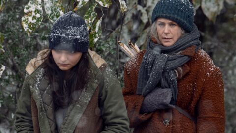 the walking dead 9 temporada lidia e carol