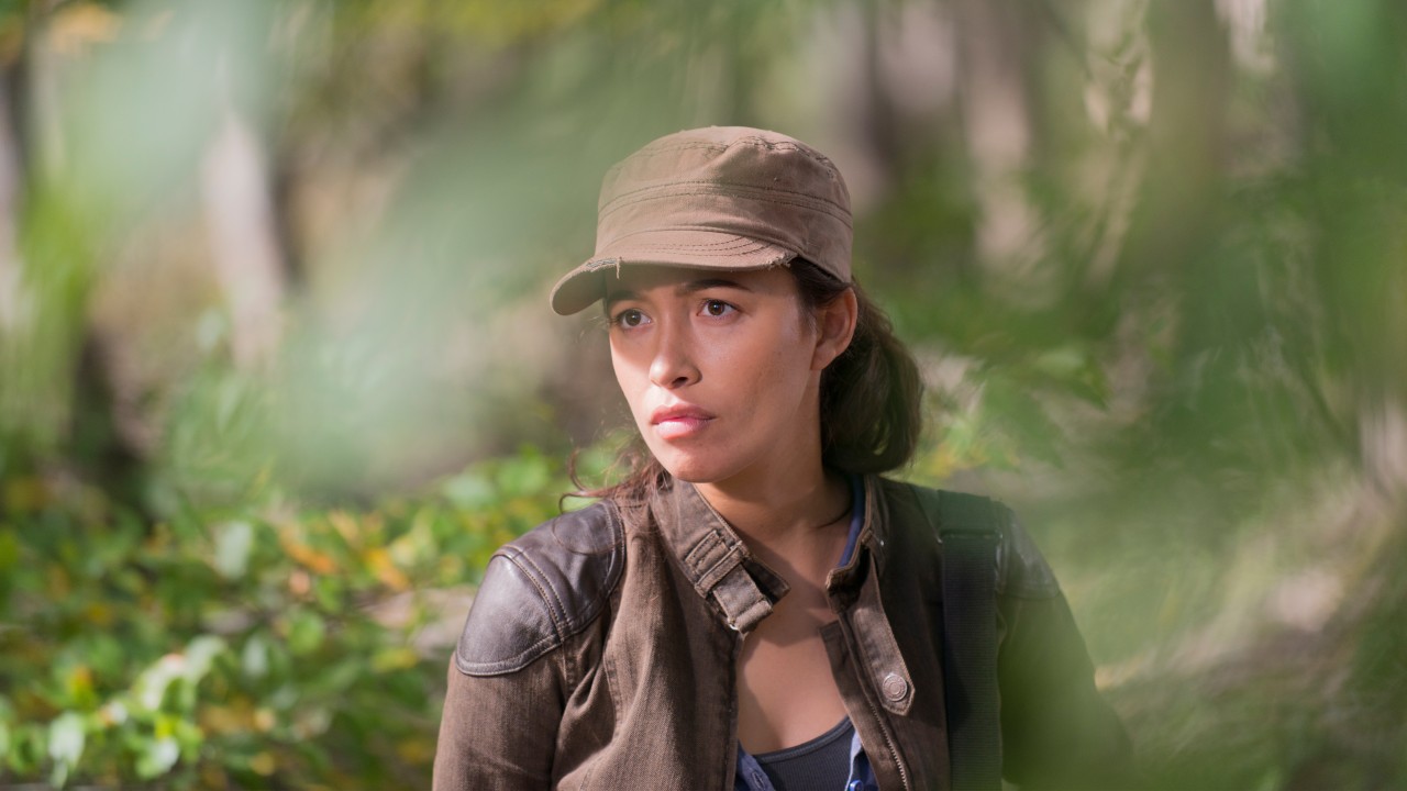 the walking dead rosita