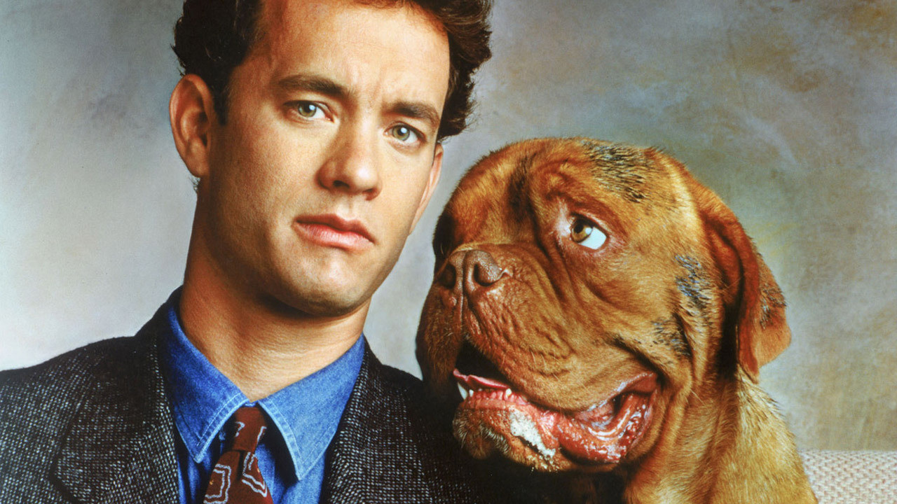 Turner & Hooch