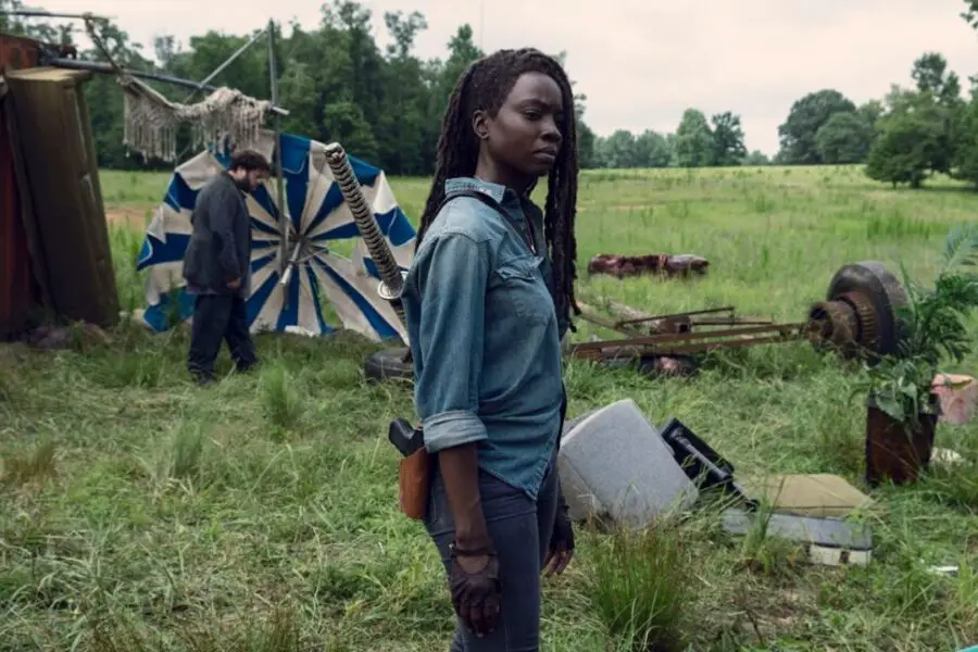 the walking dead michonne