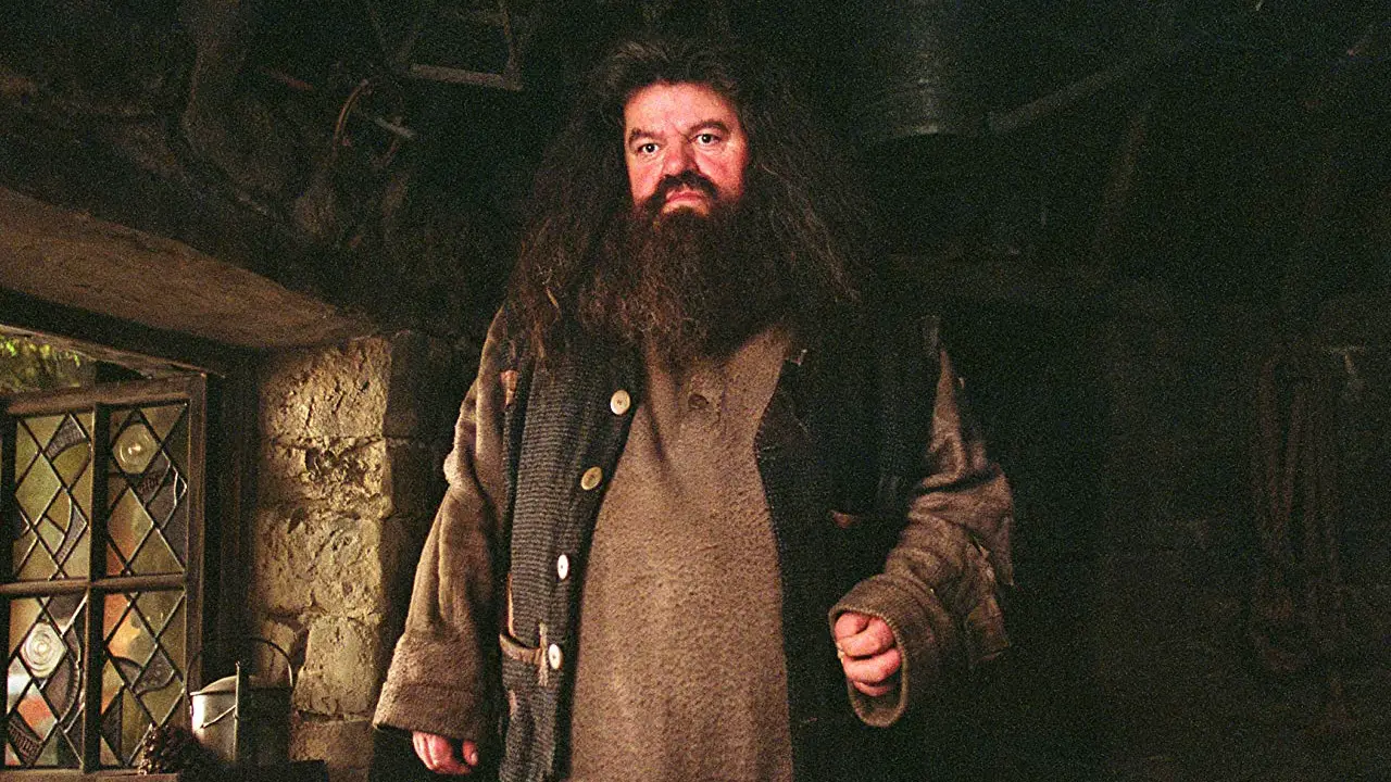 Hagrid pode participar do terceiro filme da franquia ‘Animais Fantásticos’