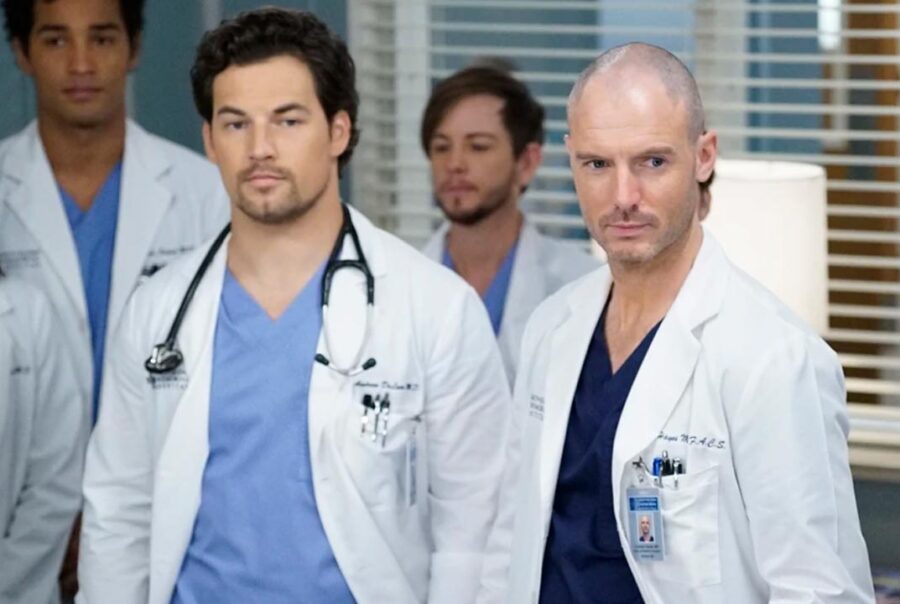 Grey's Anatomy 14ª Temporada