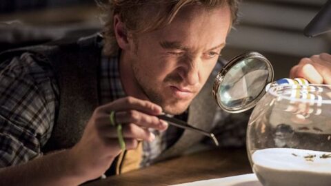 julian dorn flash Tom Felton, de 'Harry Potter', participa da 3ª temporada de 'The Flash'