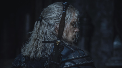 the witcher
