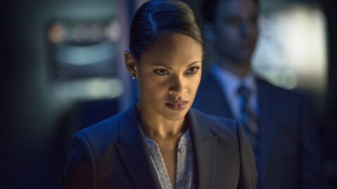 Amanda Waller