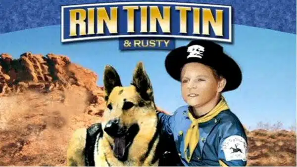 rin tin tin