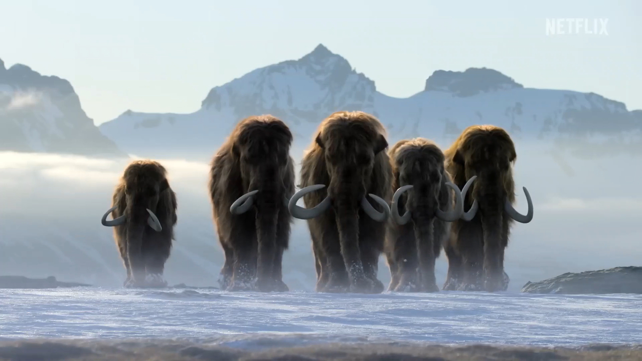 Nosso Planeta netflix