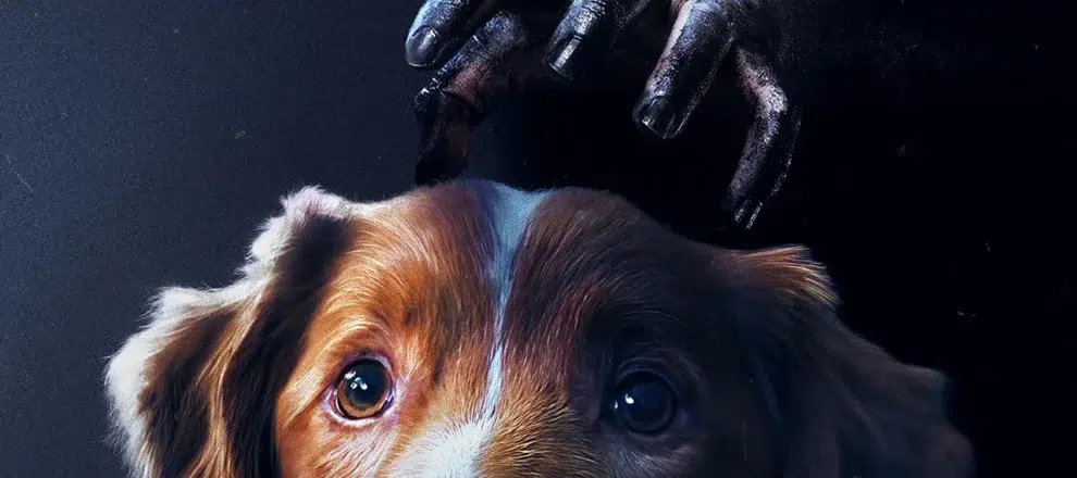 bom menino filme 2025