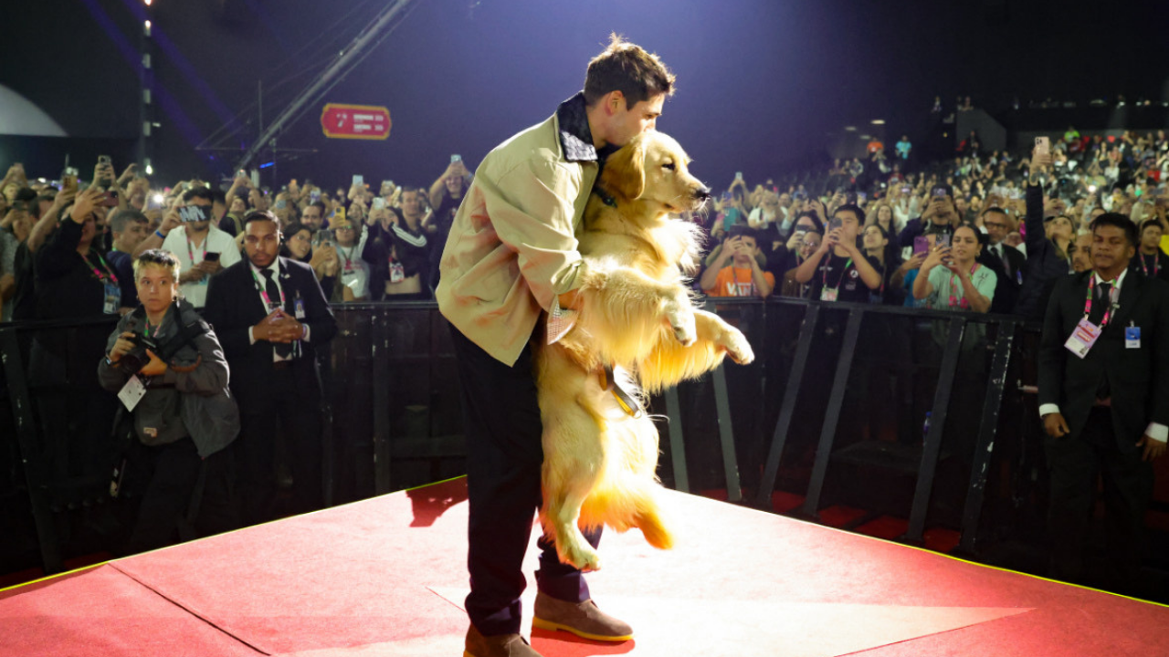 Minha Vida com Shurastey: filme tem primeiras imagens reveladas na CCXP