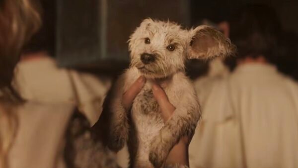 supergirl filme 2026