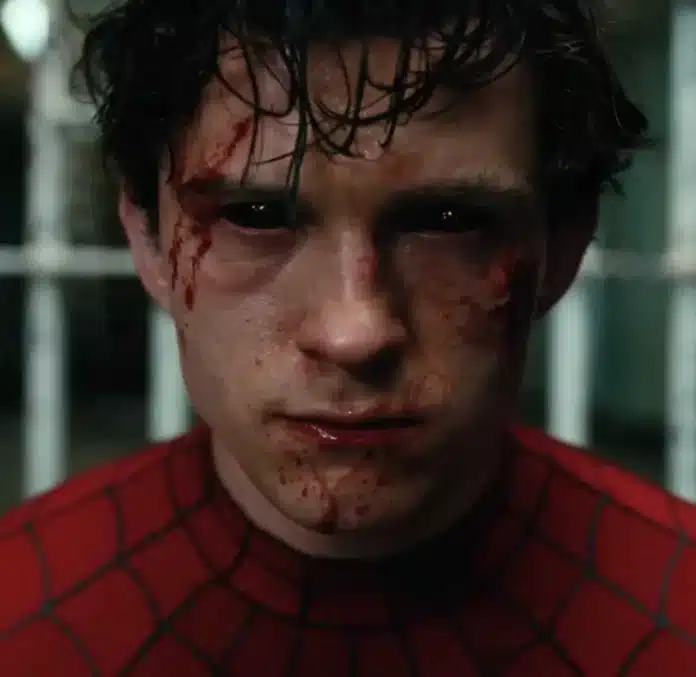 homem aranha novo dia